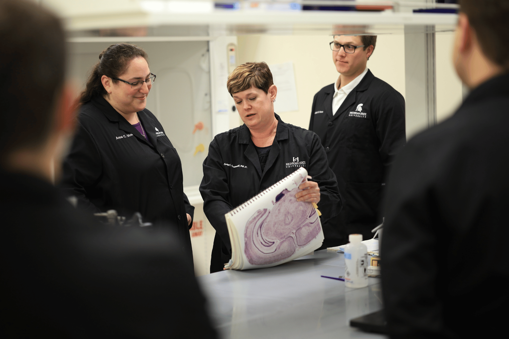 Inside the Grand Rapids Research Center, Caryl Sortwell, professor in MSU College of Human Medicine's Department of Translational Neuroscience, studies neurodegenerative diseases including Parkinson's with her team.